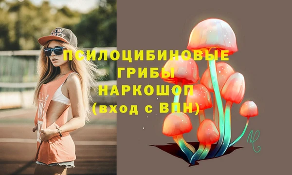 МДМА Арсеньев