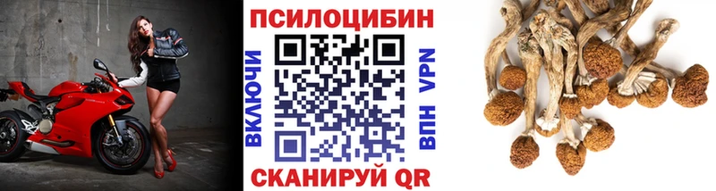Галлюциногенные грибы ЛСД где можно купить Беслан
